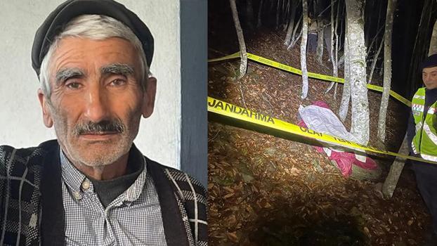 Uçuruma uçan traktörün sürücüsü öldü, eşi yaralandı