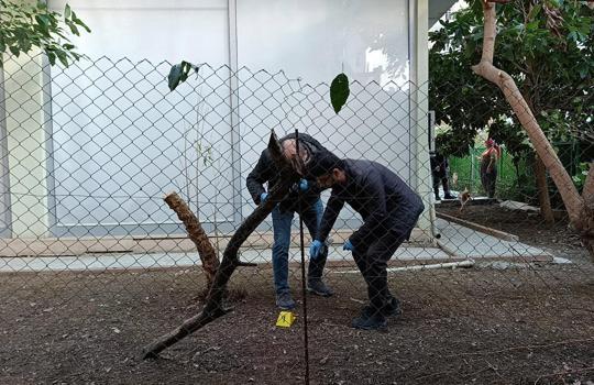 Alacak verecek tartışmasında 1 yaralı