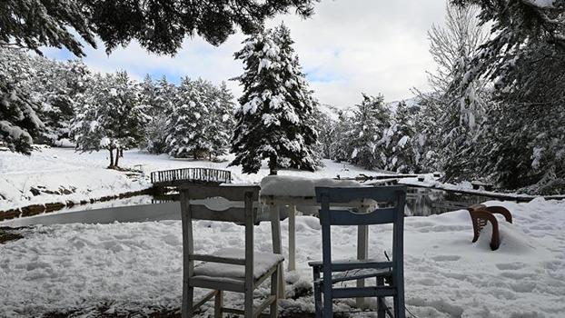 Gümüşhane'de Kent Ormanı, kar yağışıyla beyaza büründü