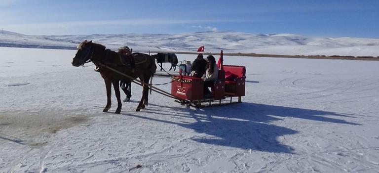 Atlı kızaklar, Çıldır Gölü’nde tura başladı