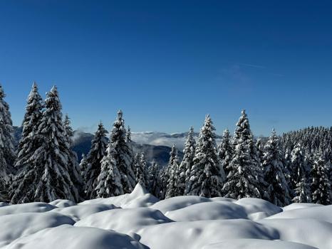 Ordu'da 2 bin rakımlı yaylada kar manzarası