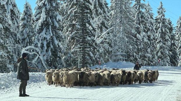 Karla kaplı yaylalarda dönüş yolculuğu