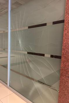 Ağabeyi ceza aldı, karar sonrası mahkeme salonunun camına yumruk attı