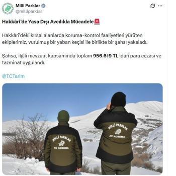 Yaban keçisi vuran avcıya 956 bin TL ceza