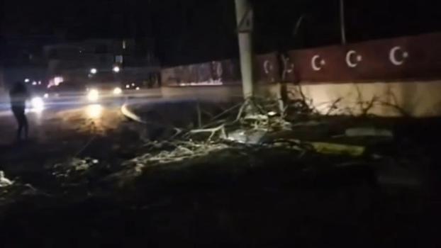 Devrilen ağaç 2 mahalleyi elektriksiz bıraktı