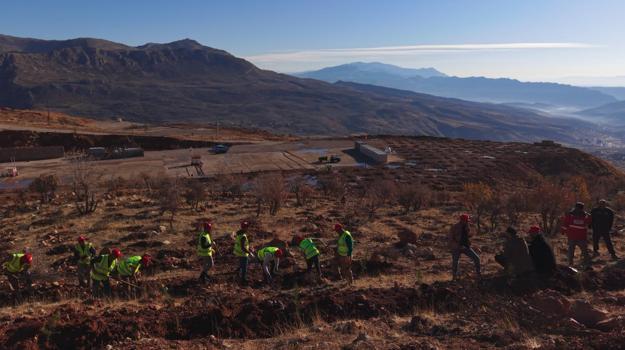 Gabar'da fidan dikim seferberliği