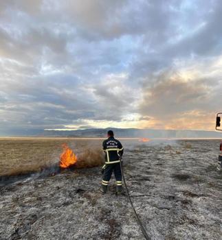 150 dönüm arazi yandı
