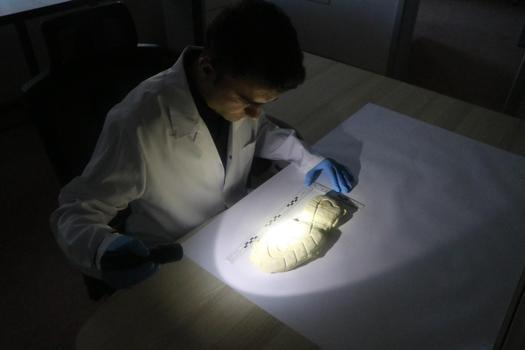 ‘Masumane şekilde kargo teslimi için atılan imza, aslında boş bir senede atılmış olabilir’/Ek fotoğraflar