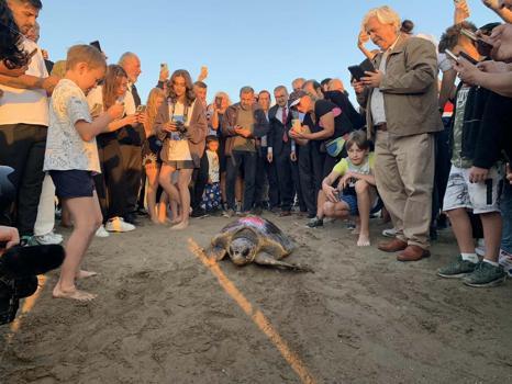 Caretta caretta 'Cumhuriyet'i 9 bin kişi izledi