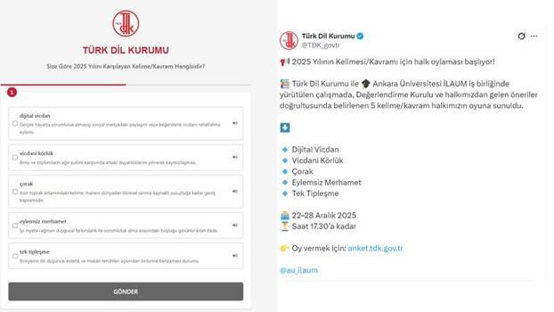 'Yılın kelimesi' önerileri halk oylamasına açıldı