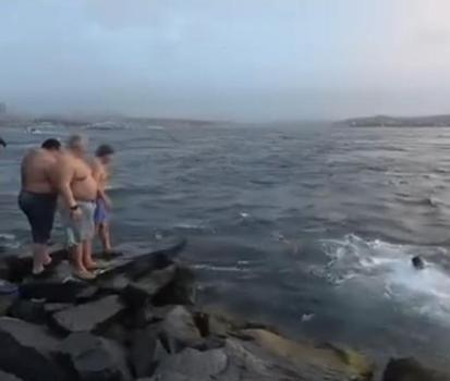 İstanbul - Fatih'te soğuk havaya aldırış etmeden denizde yüzdüler