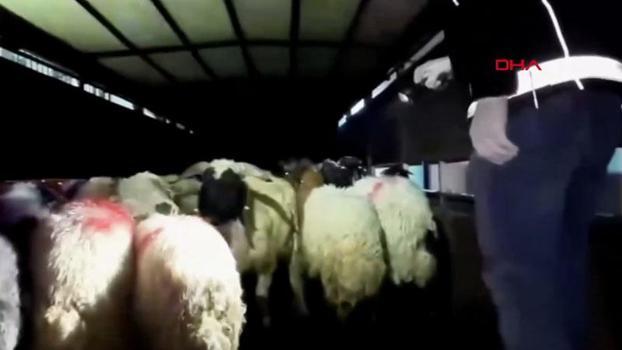 Siirt’te uyuşturucu operasyonu: 2 şüpheli gözaltına alındı