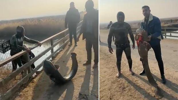 Çayda eliyle yakaladığı yayın balığını güçlükle sudan çıkardı