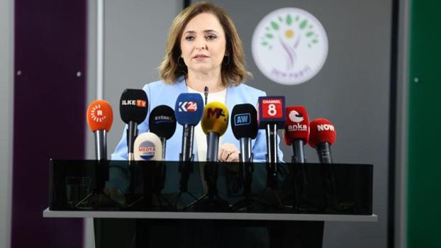DEM Parti'li Doğan: Silah bırakan herkes düzenleme kapsamına girmeli