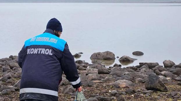 Kaçak ağa takılan 105 sazan canlı kurtarıldı