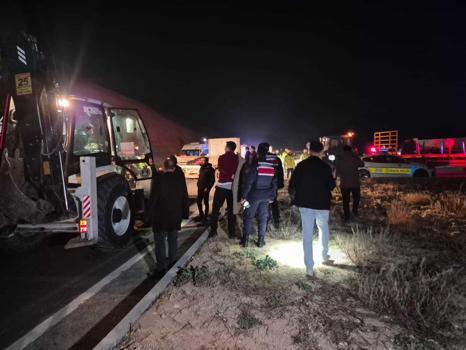 Malatya'da milyonluk yarış tayları çiftlikten kaçtı; 8'i öldü, bazıları kayıp