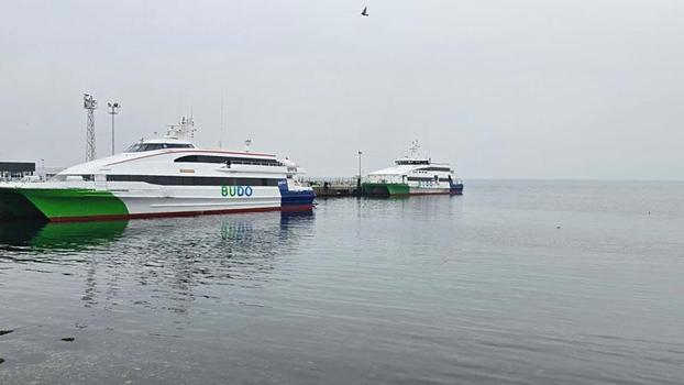 BUDO'nun 1 Ocak'taki 2 seferi iptal edildi