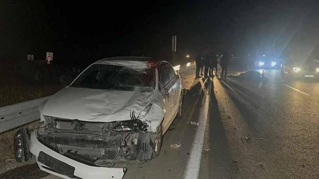 Malatya'da kaçan yarış tayları bulundu