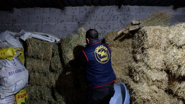 Nevşehir'de rüşvet oprasyonu: 4 gözaltı