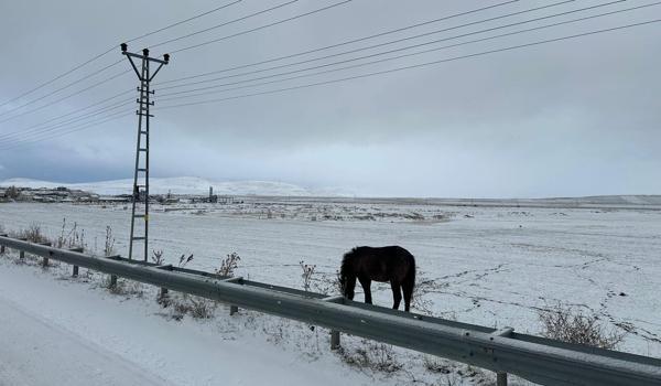Ağrı'da kar yağışı