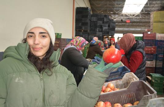 Korkuteli'den nar ihracatı başladı