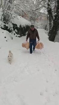 Yolu kar nedeniyle kapanan köyüne ekmek taşıdı