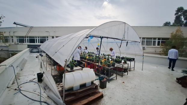 Öğrencileri olumsuz hava şartlarından korumak için fakültenin terasına sera kurdu