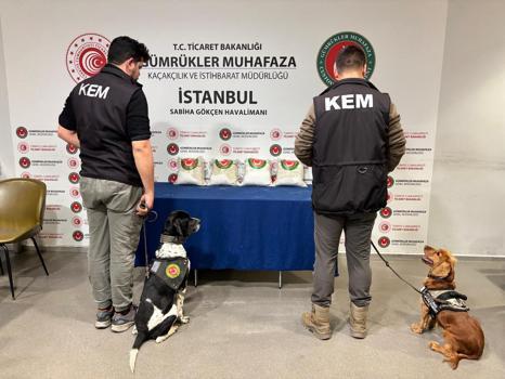 Gümrüklerde 1 milyar 26 milyon lira değerinde uyuşturucu ele geçirildi