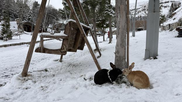 Sivas'ın 'Hobbit Evleri'nde kış manzarası / Ek fotoğraflar