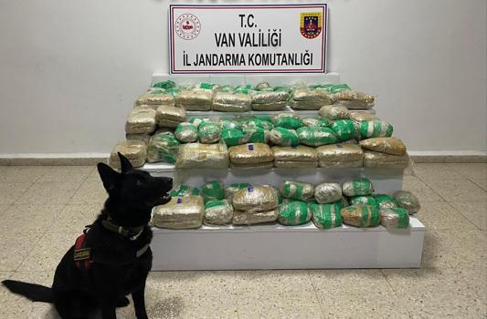 Van'da arazide 51 kilo skunk ele geçirildi