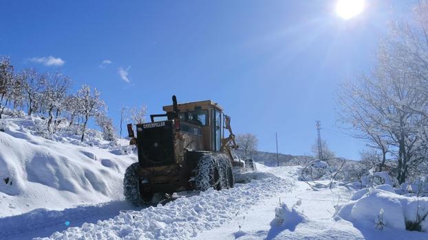 Bingöl’de 20 köy yolu kardan kapandı (2)