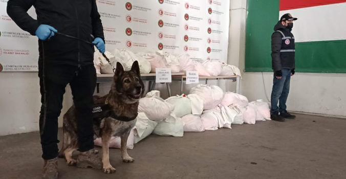 Kapıkule'ye gelen TIR'daki 591 kilo uyuşturucuyu 'Bodri' buldu