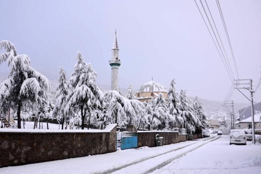 Afyonkarahisar'da kar etkisini gösterdi