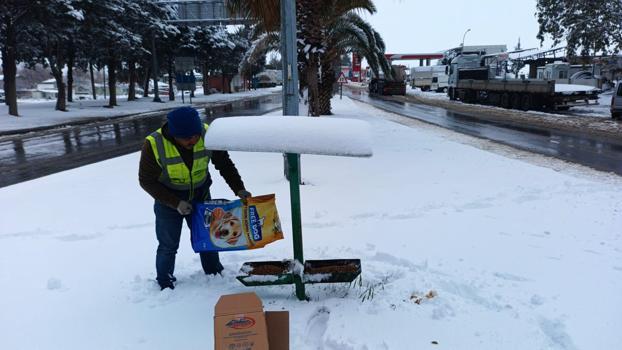 Gaziantep’te hayvanlar için yem bırakıldı