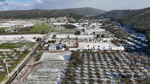 İzmir’de yeni yılın ilk gününde kar yağışı etkili oldu / Ek fotoğraflar