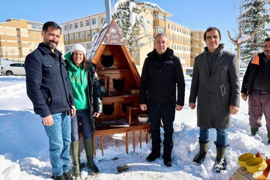 Sivas'ta kedi evlerine düzenli mama bırakılıyor