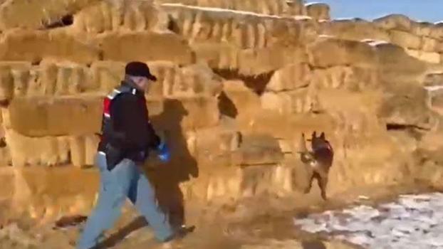 Kayseri'de saman balyaları arasında 1,4 kilo esrar ele geçirildi; 3 gözaltı