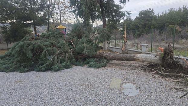 Buldan'da kuvvetli fırtına, baca kapağını uçurdu, ağacı devirdi