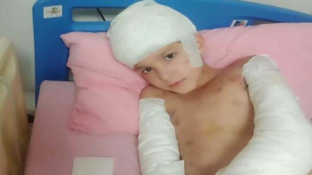 Sokak köpeklerinin saldırısında yaralanan Tunahan'ın ailesine, 5 milyon TL manevi tazminat ödenecek