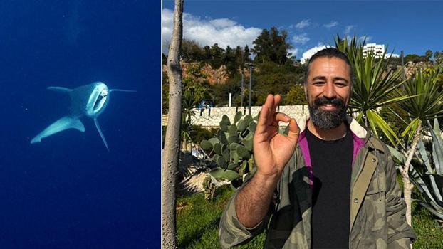 Camgöz köpek balığını dalgıçlar kurtardı