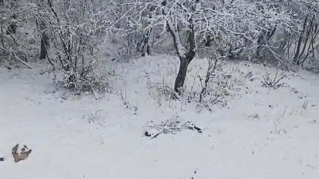 Çanakkale'nin yüksek kesimlerinde kar yağışı