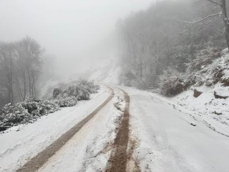 Erdek ilçesinde kar yağışı etkili oldu
