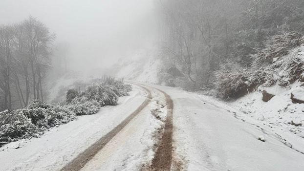 Erdek ilçesinde kar yağışı etkili oldu