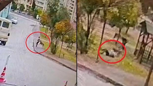 Sahipsiz 2 kurt köpeği, tasmayla gezdirilen evcil köpek ile sahibine saldırdı