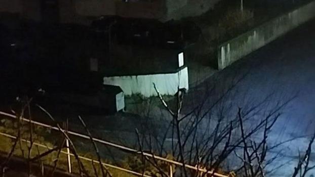 Aç kalan çakallar mahalleye indi