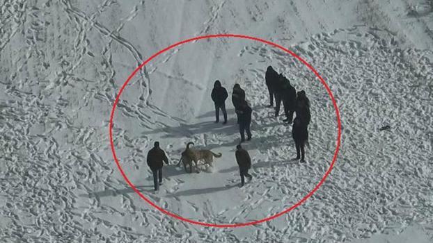 Köpek dövüştürenlerin dronu görüp kaçtığı anlar kamerada