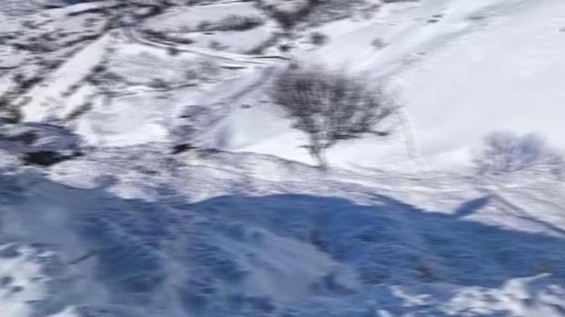 Giresun’da hayvanlarını otlatan çoban çığ altında kaldı