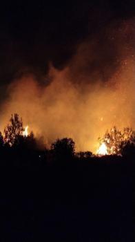 Antalya'da orman yangını