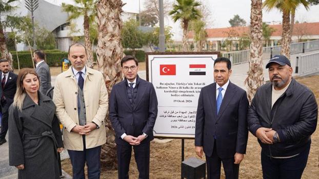 Tokat Belediyesi, Musul'da Devlet Bahçeli adına hatıra ormanı kurdu