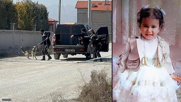 Rana'nın köpek saldırısında ölümüne ilişkin 2 belediye yetkilisi hakkında soruşturma izni